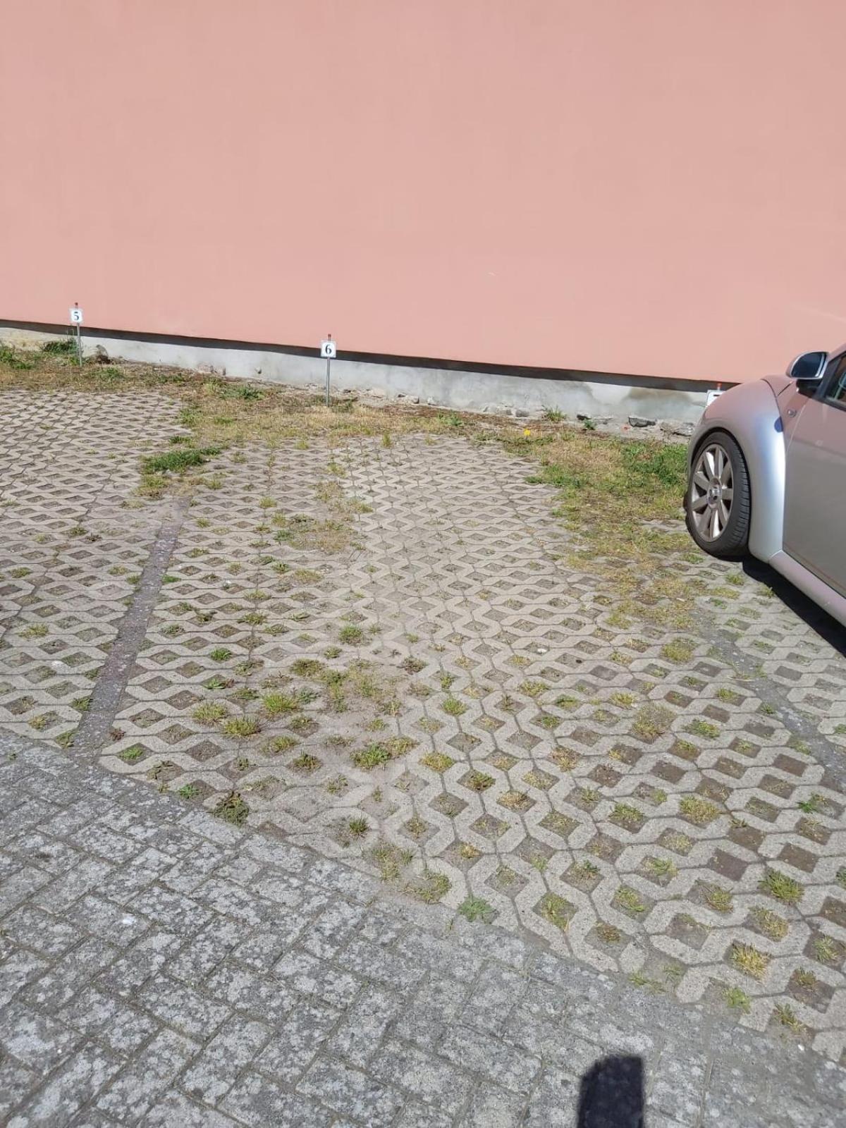 Wohnung Sonnenschein Wolgast Extérieur photo
